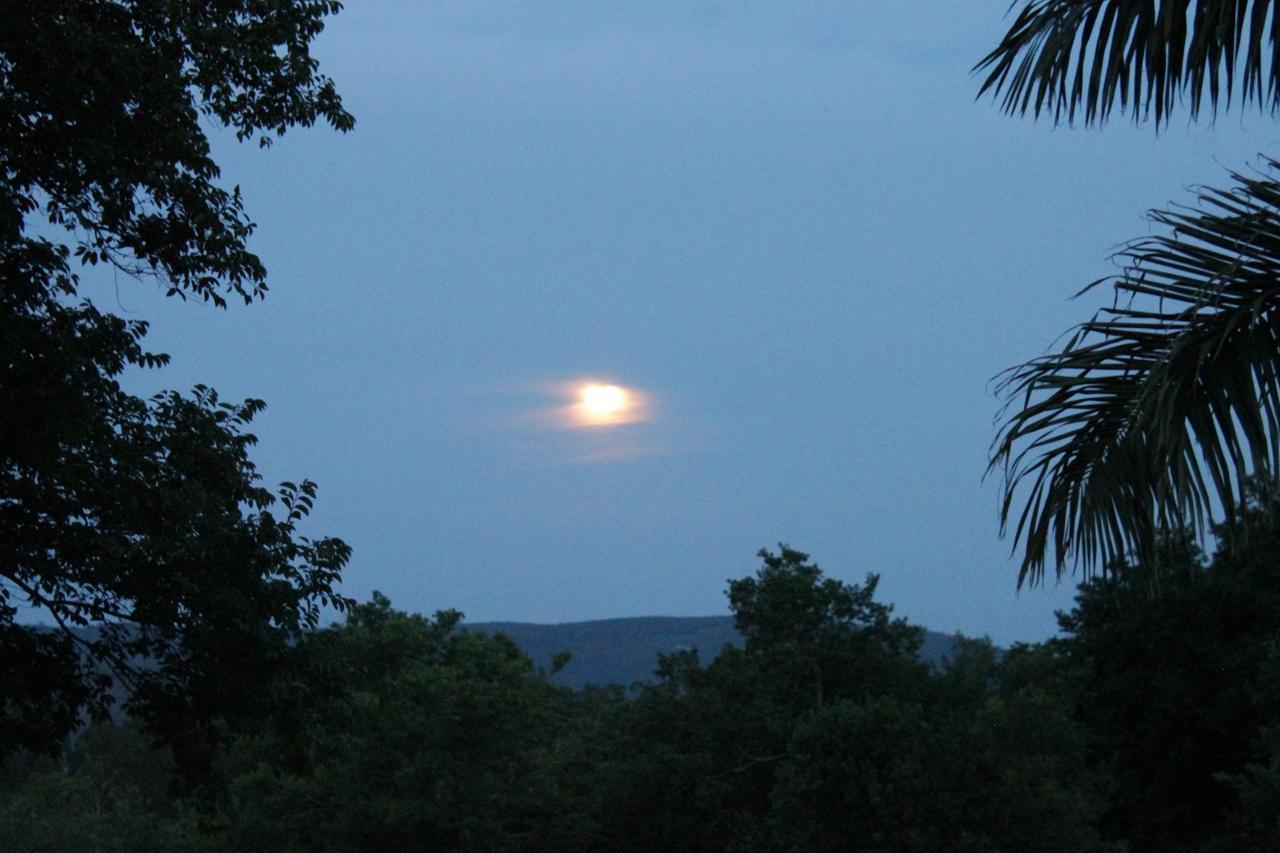 คุกคู ริดจ์ คันทรี รีทรีต Guest House เฮซีวิว ภายนอก รูปภาพ
